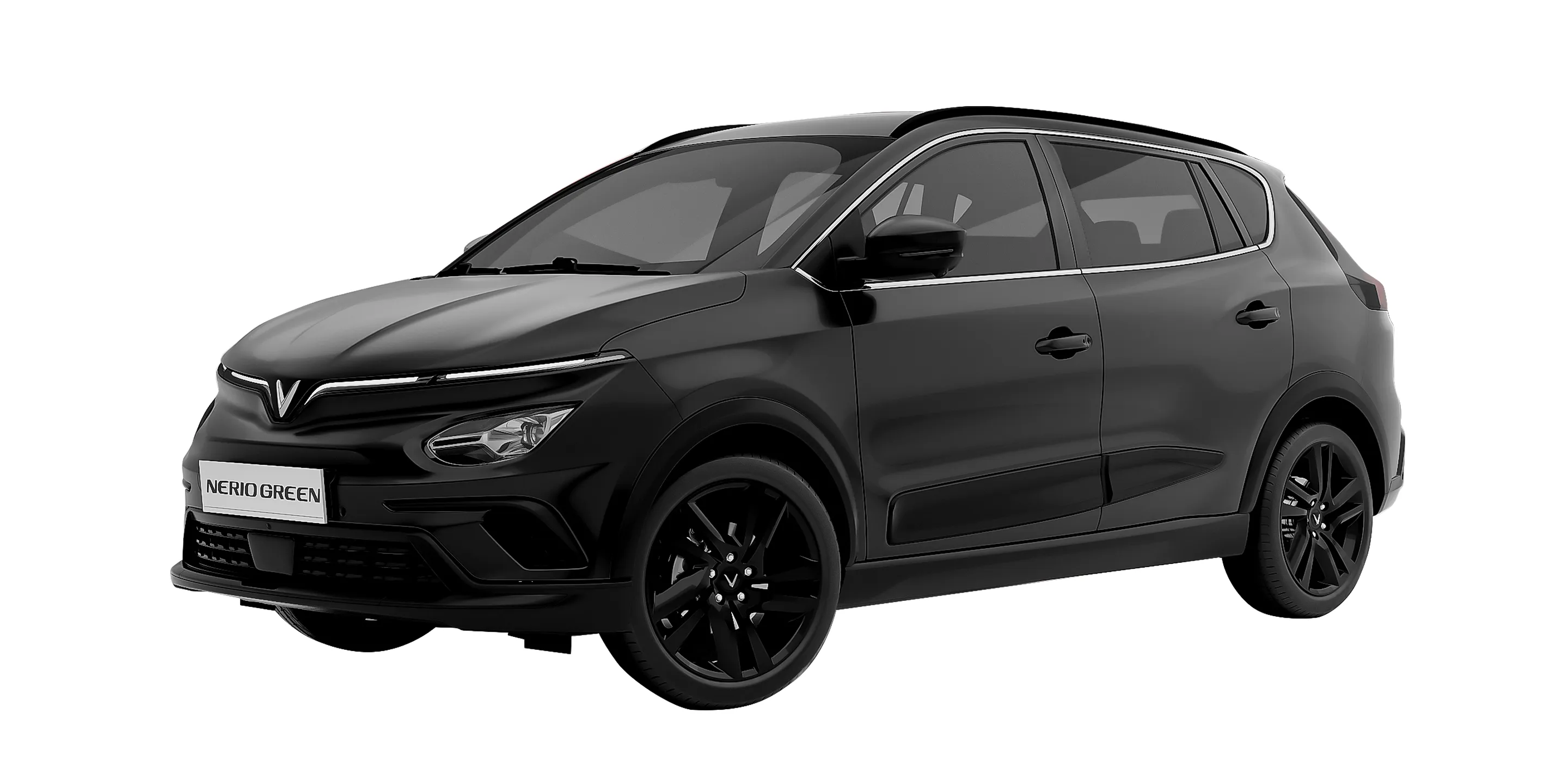 Nerio Green - Hình 1