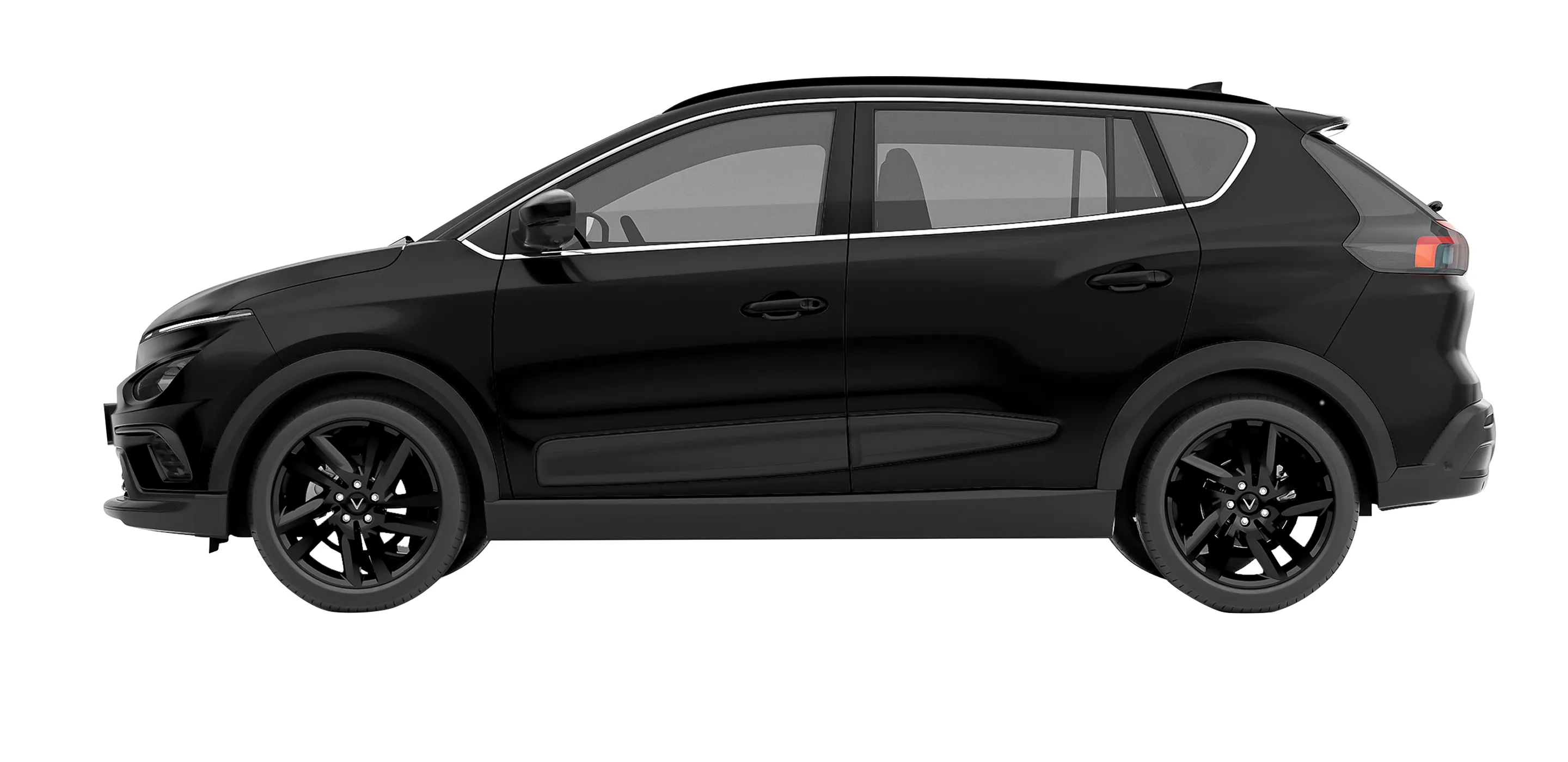 Nerio Green - Hình 2