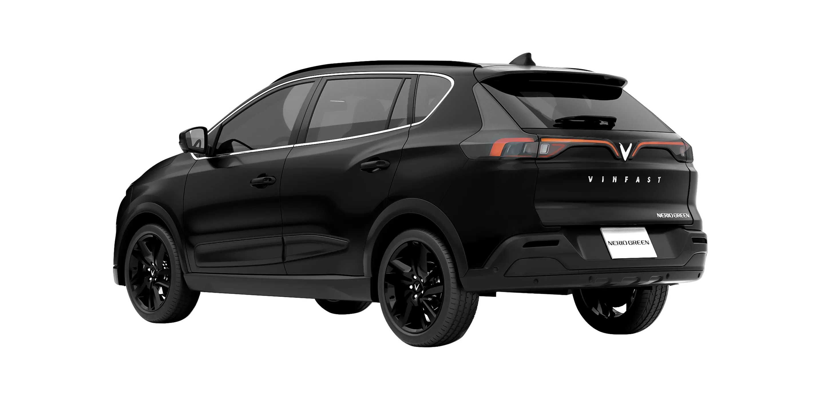 Nerio Green - Hình 3