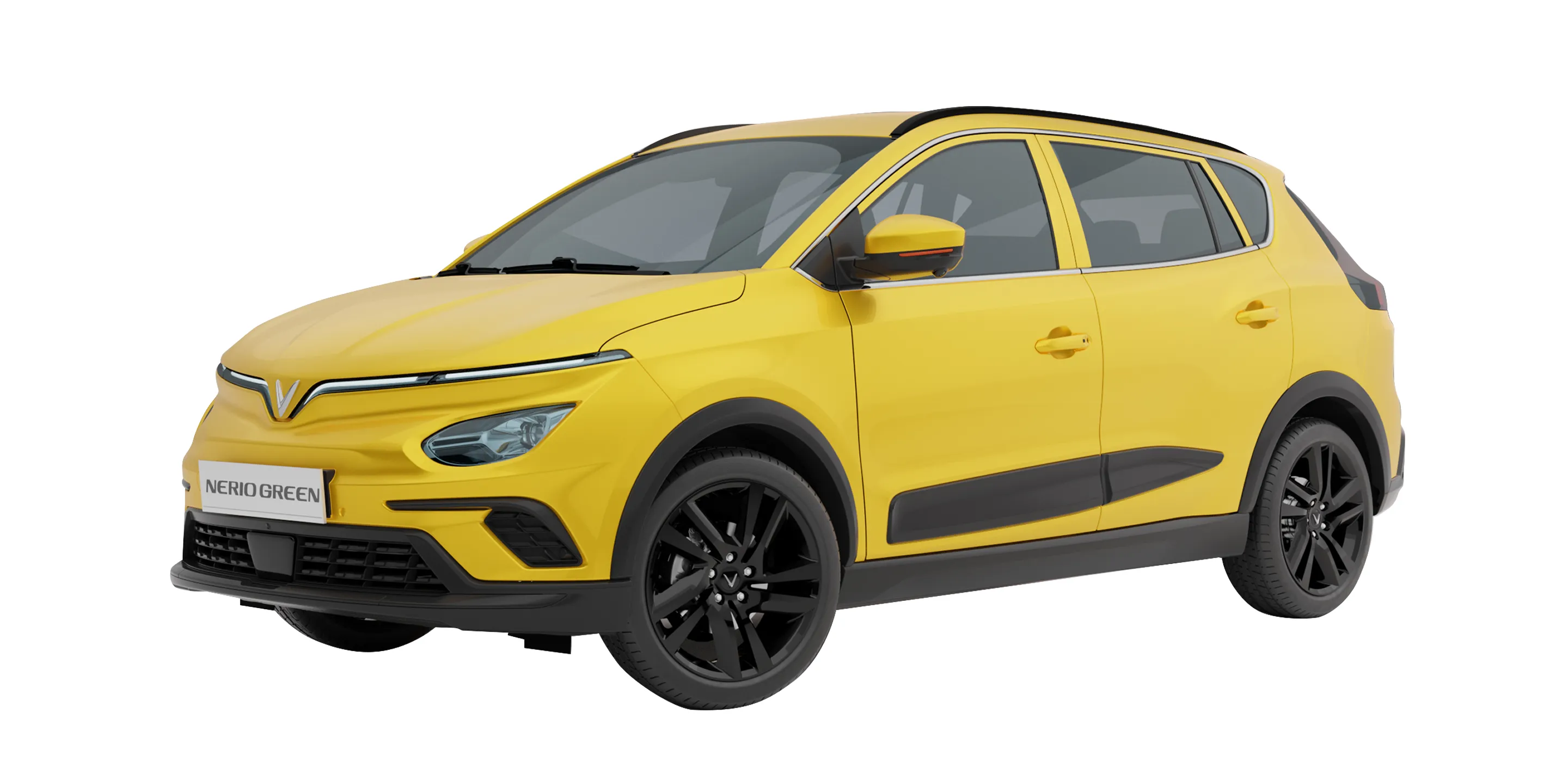 Nerio Green - Hình 4