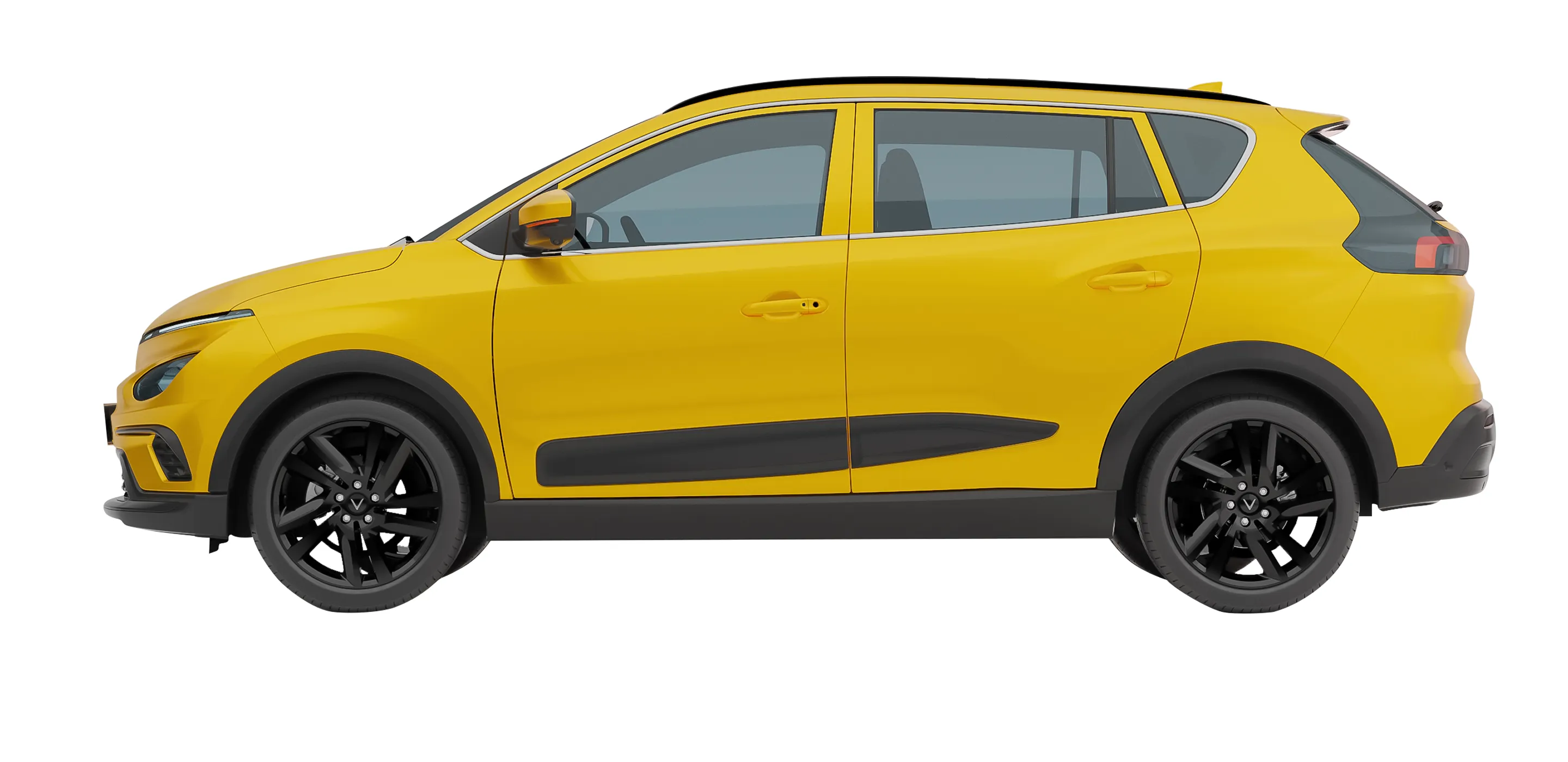 Nerio Green - Hình 5