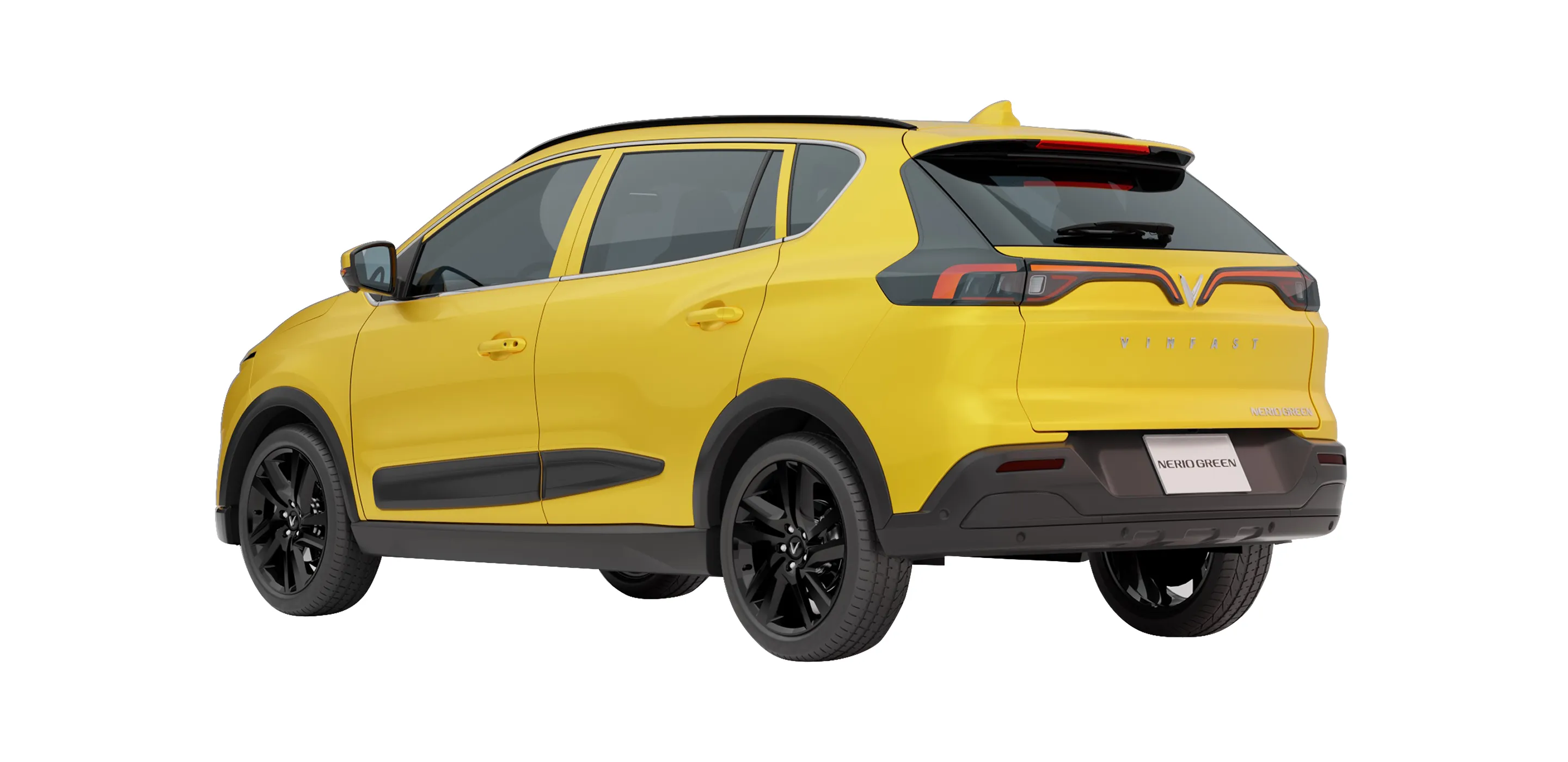 Nerio Green - Hình 6