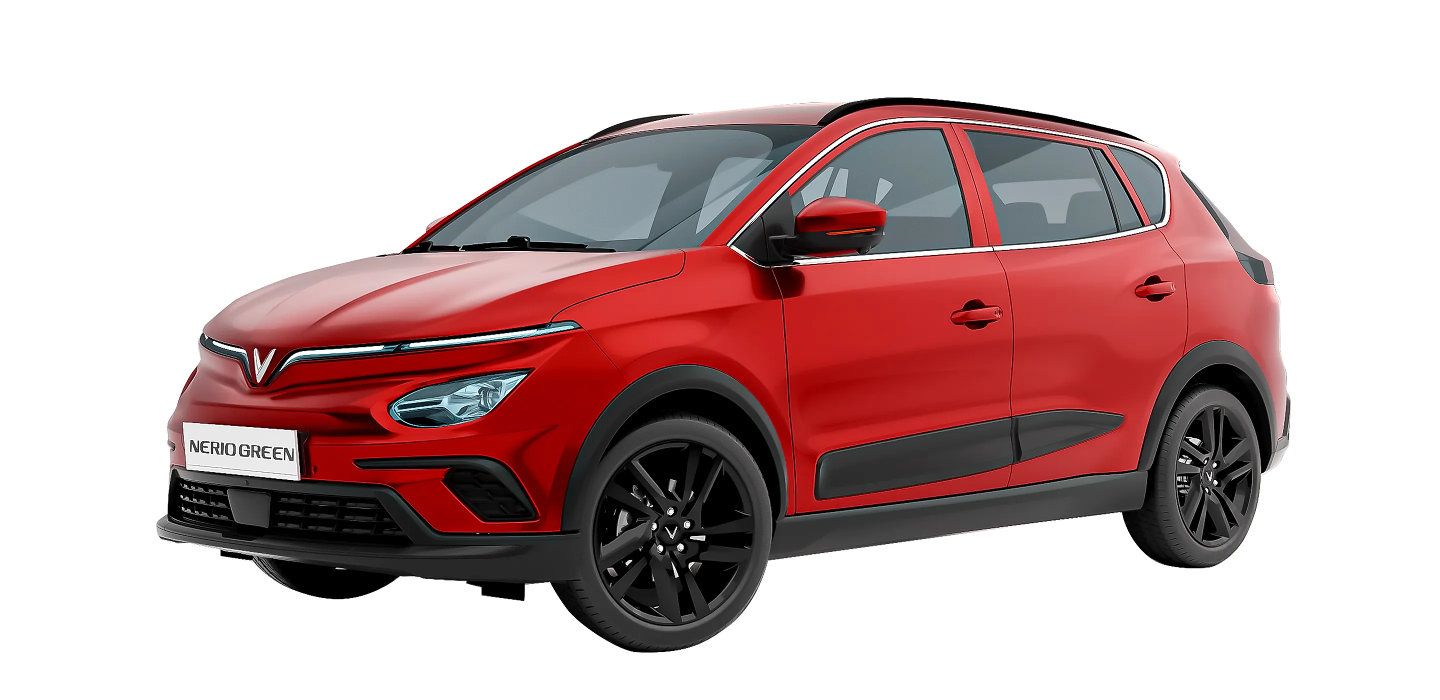 Nerio Green - Hình 10