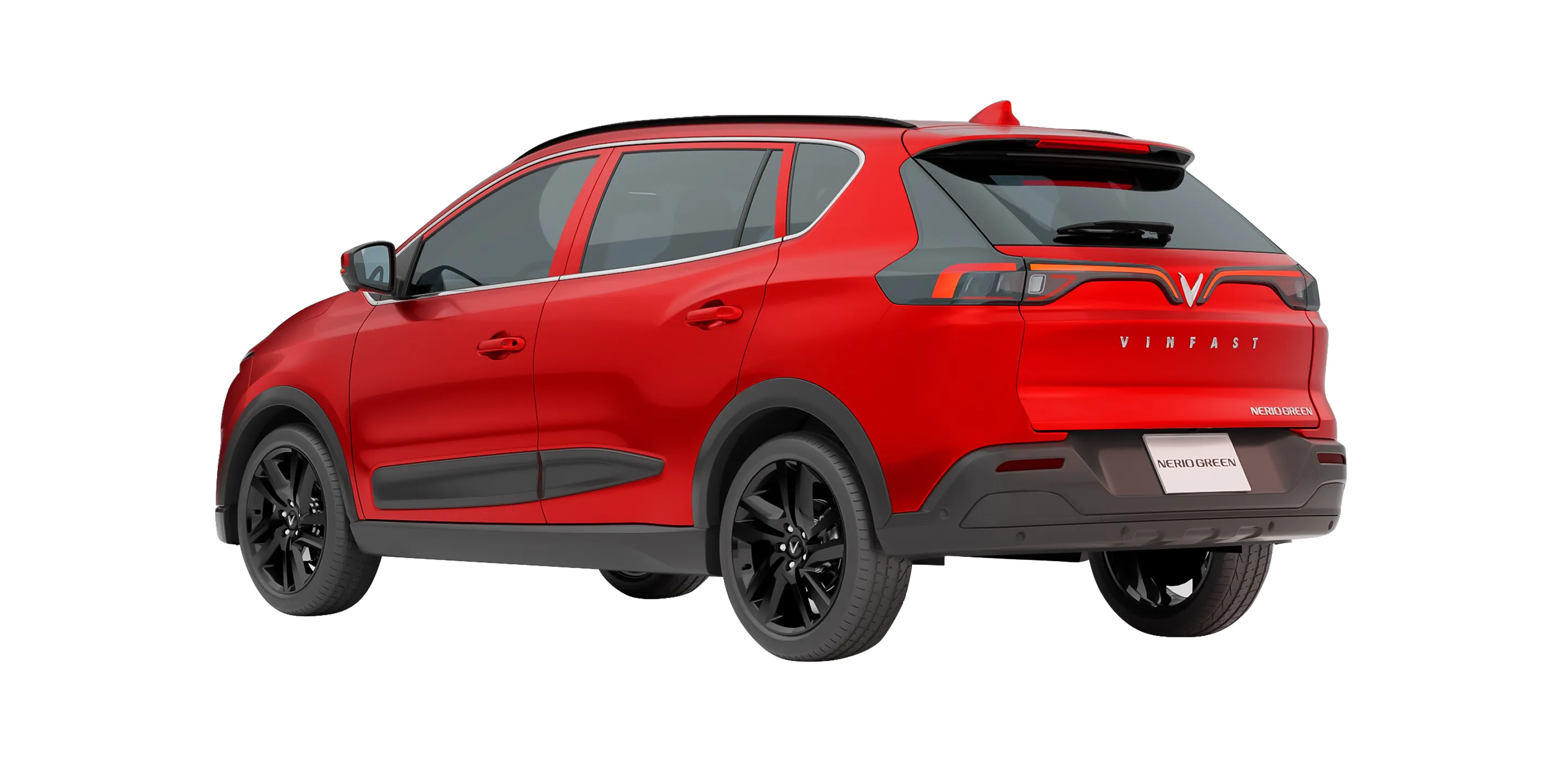 Nerio Green - Hình 12